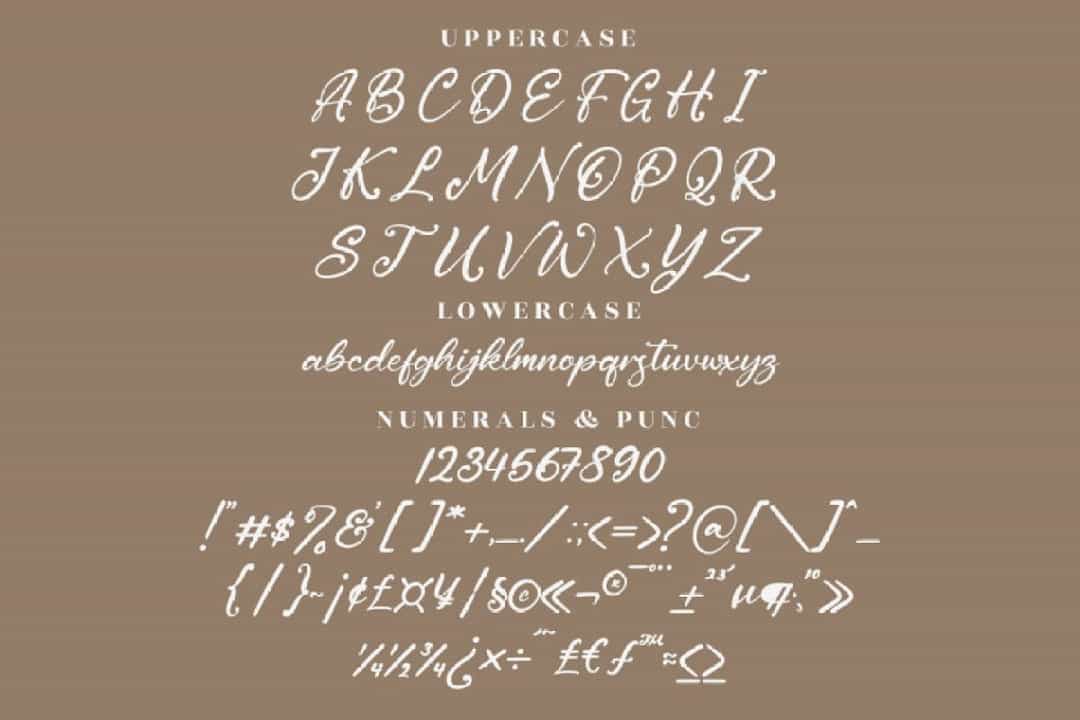 Cantika Sarah Font Image 3