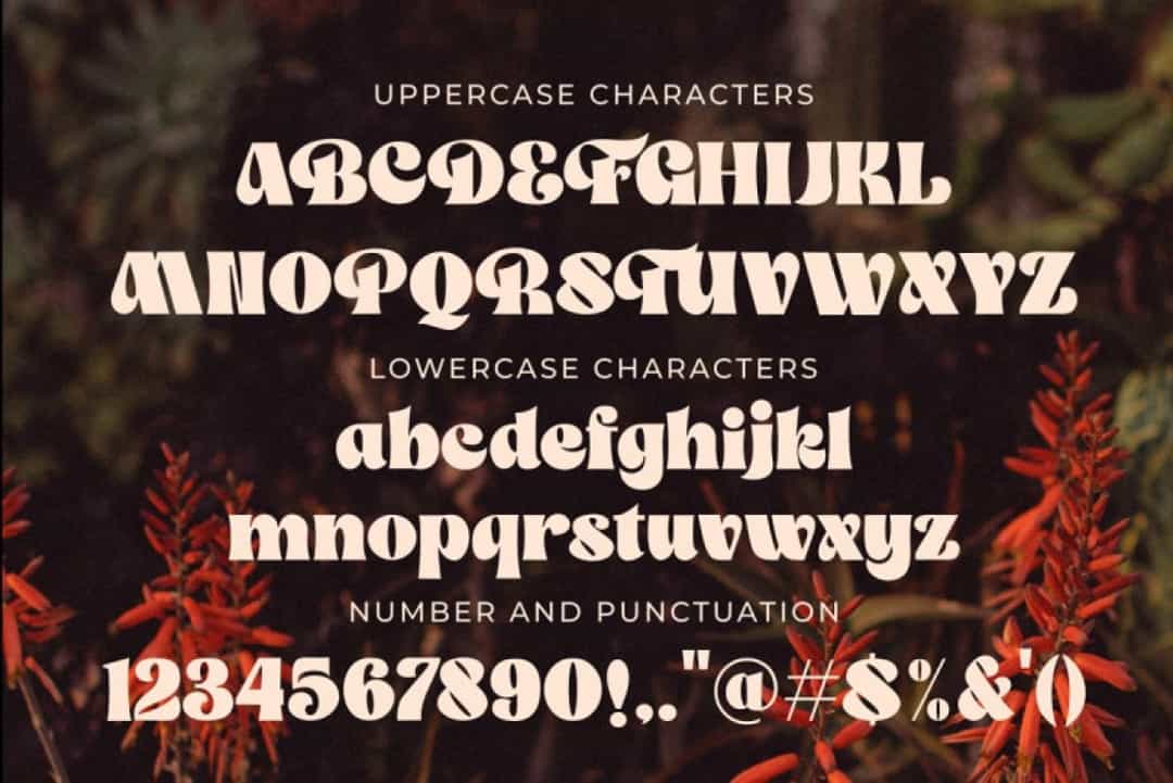 The Franky Dunkey Font Image 3