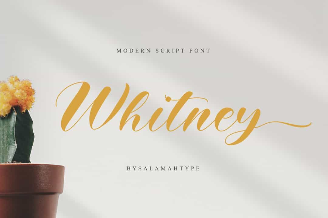 Whitney Font Image 1