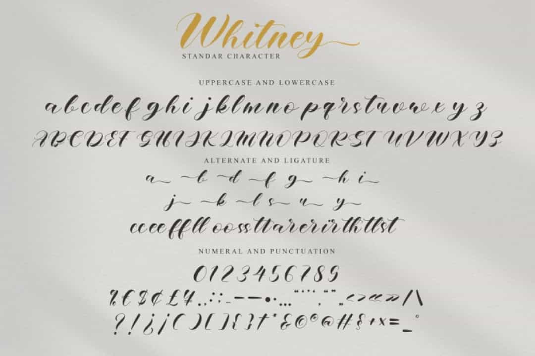 Whitney Font Image 3