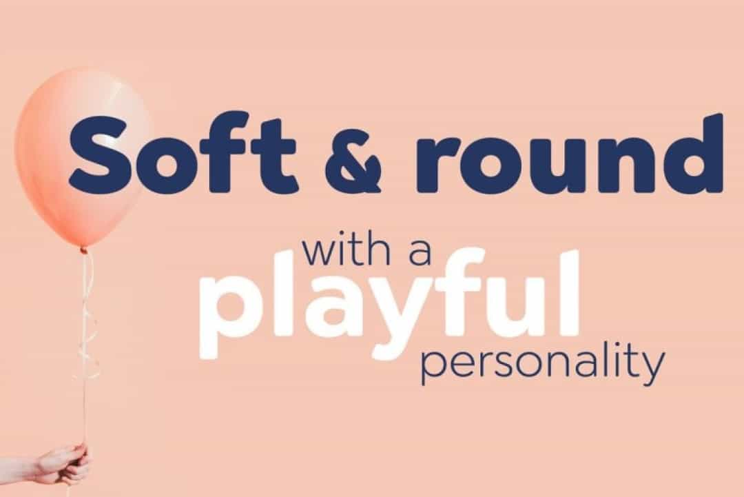Cerco Font Family Image 2