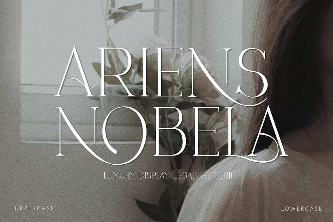 Ariens Nobela Font Image 1
