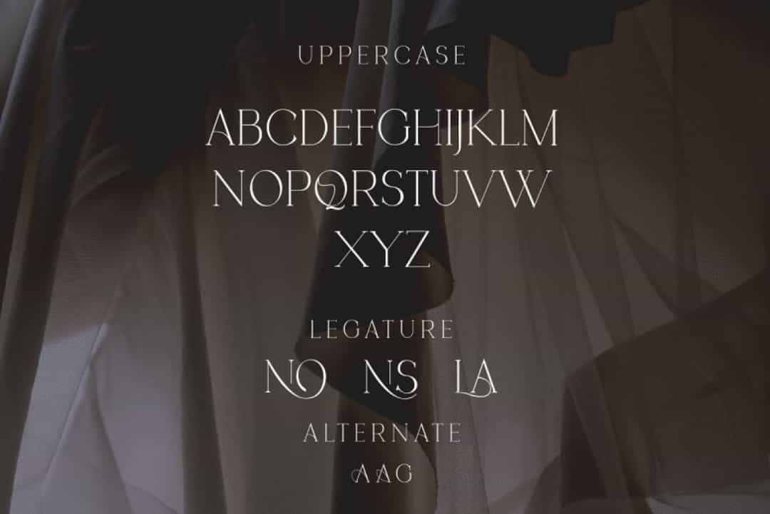 Ariens Nobela Font Image 2