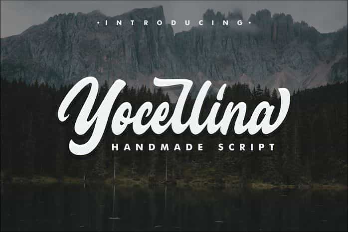 Yocellina Script Font Image 1