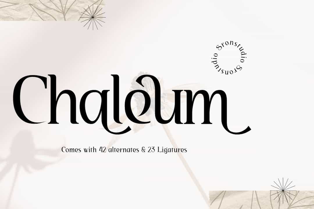 Chaleum Font Image 1