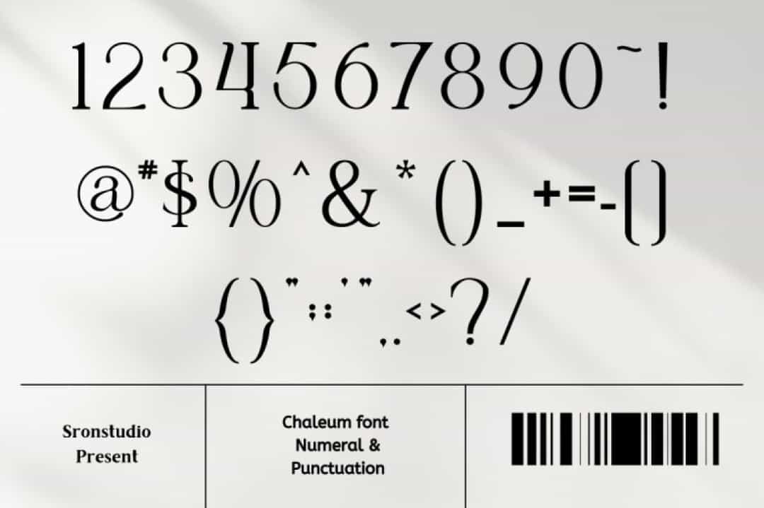 Chaleum Font Image 4