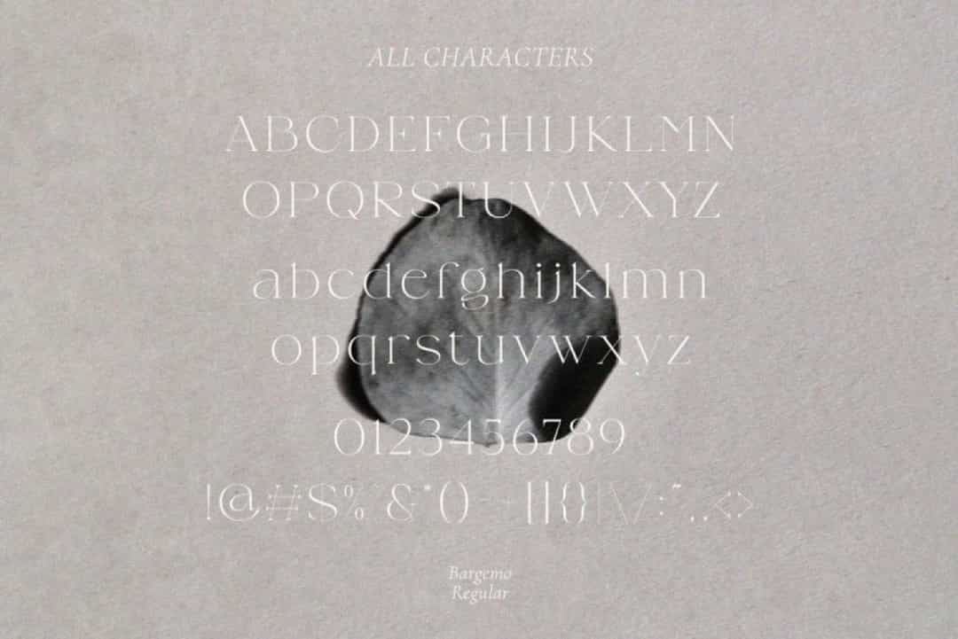 Bargemo Font Image 3