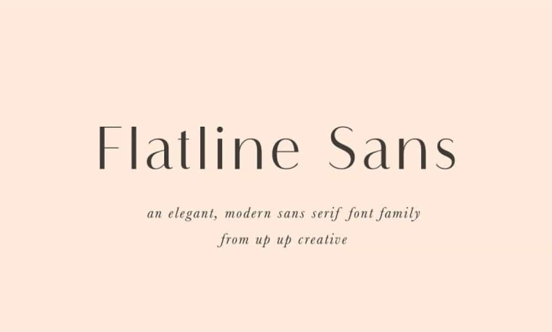 Flatline Sans Font Image 1