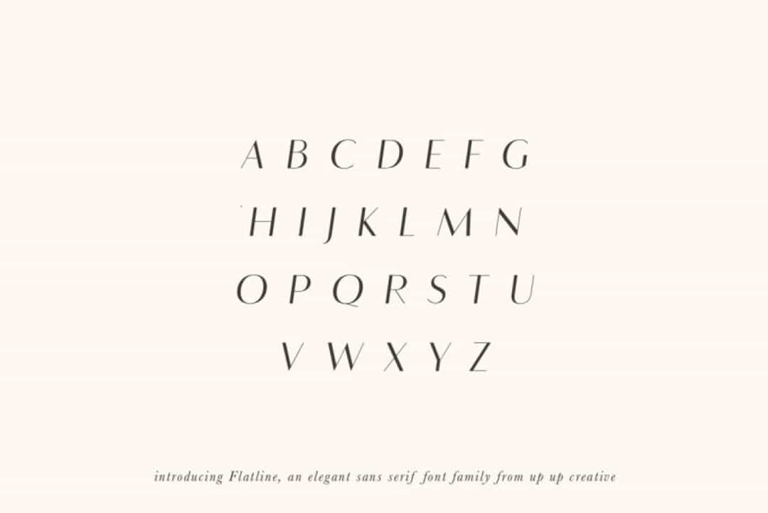 Flatline Sans Font Image 2