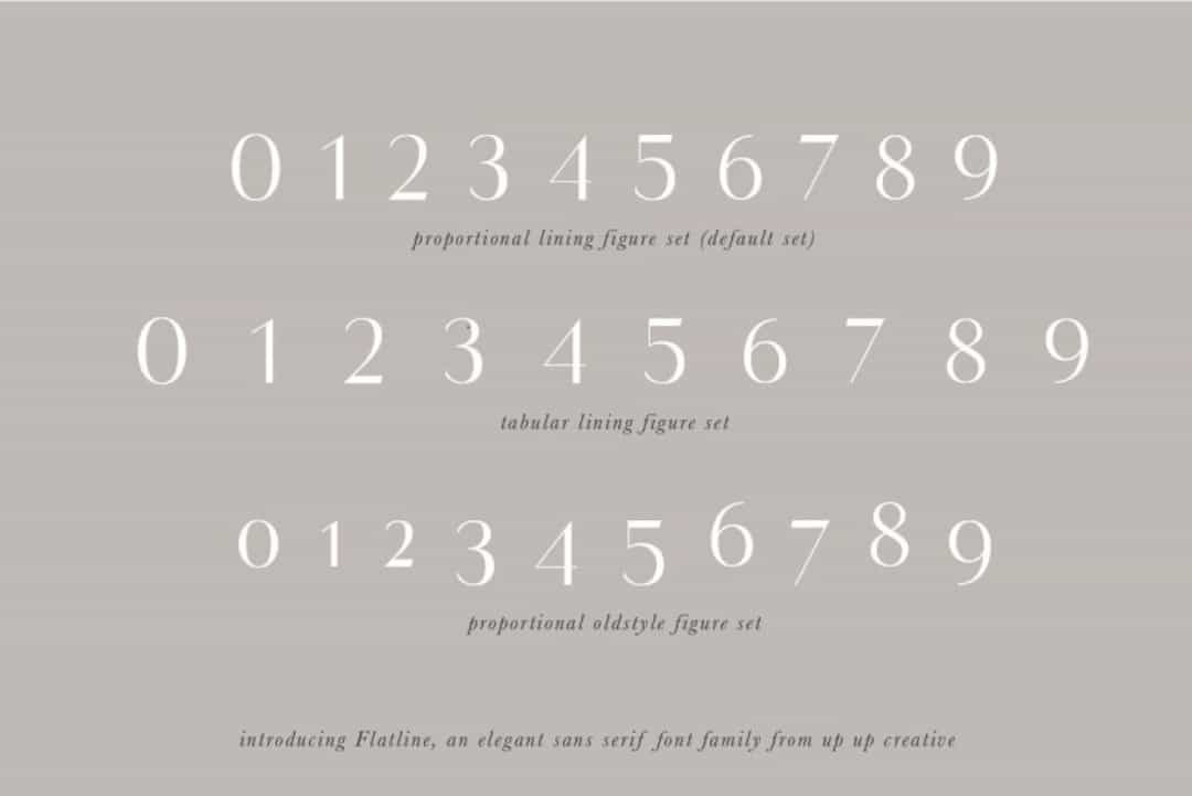 Flatline Sans Font Image 3
