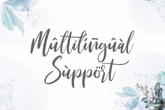 Michelles Script Font Image 3