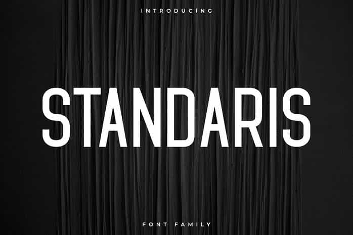 Standaris Font Family Image 1