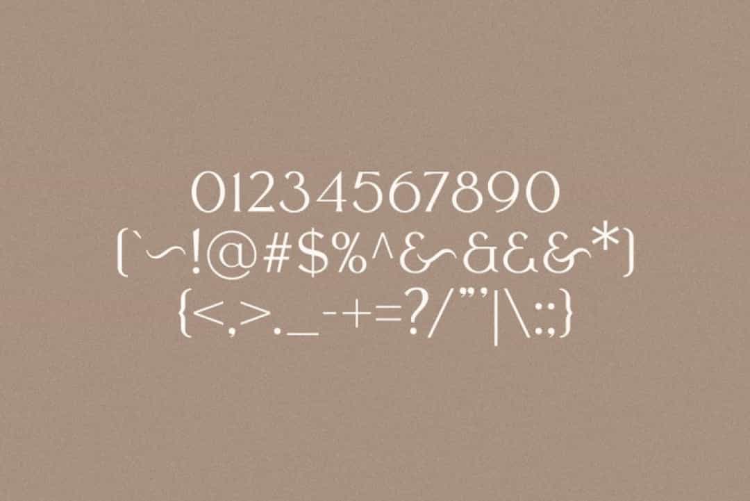 Melion Font Image 3