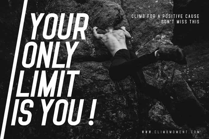 Standaris Font Family Image 3