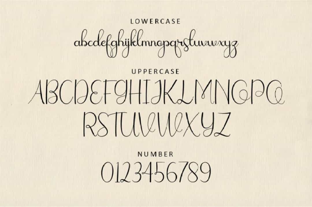 Elatina Font Image 2