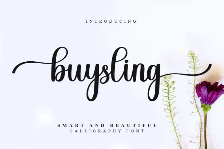 Buysling Font Image 1