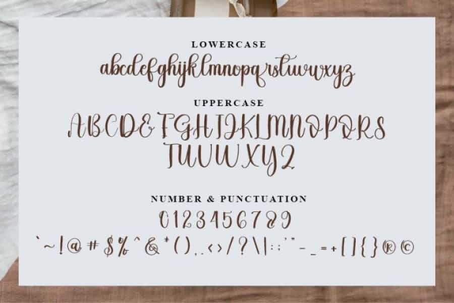 Buysling Font Image 3