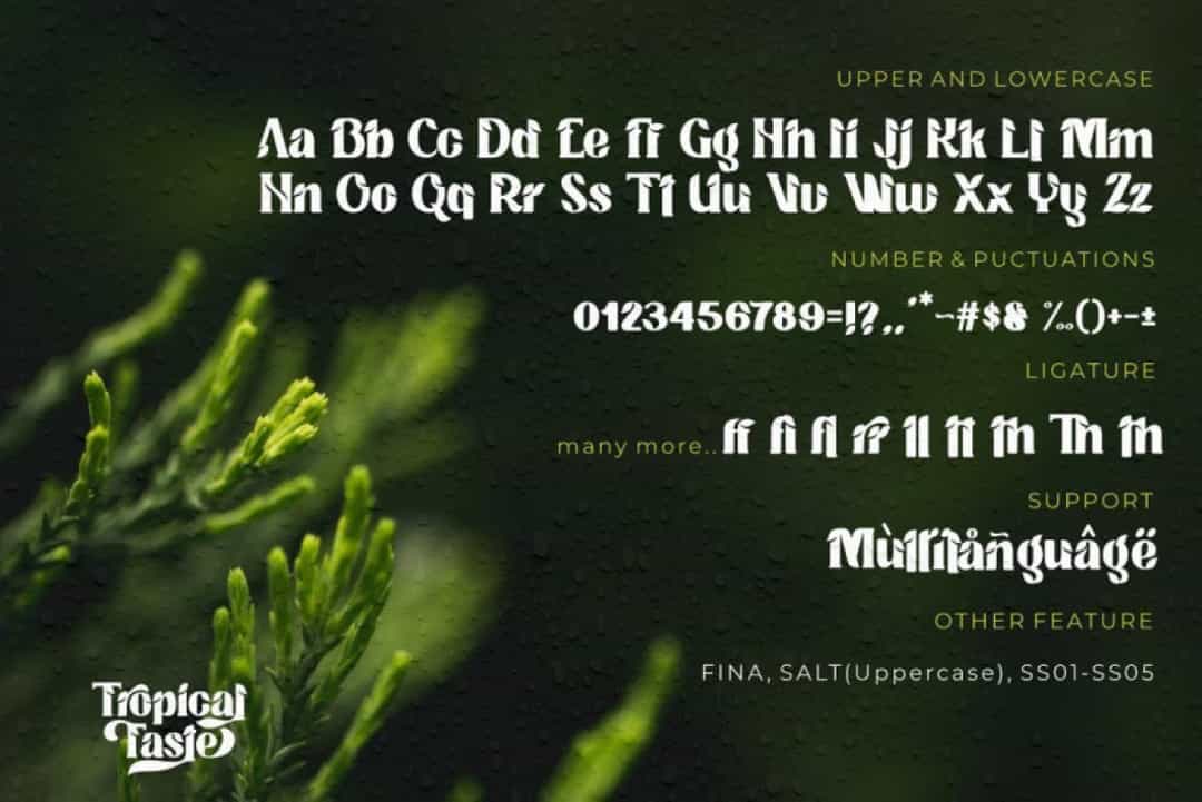 Tropical Taste Font Image 3