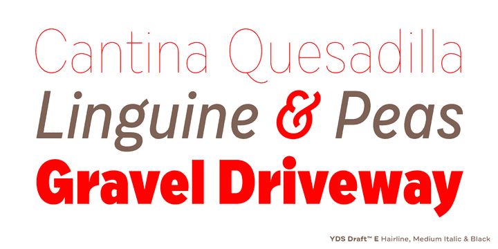 Draft Font Family Image 2