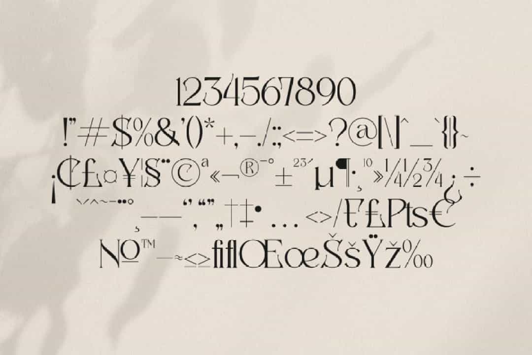 Badoga Font Image 3