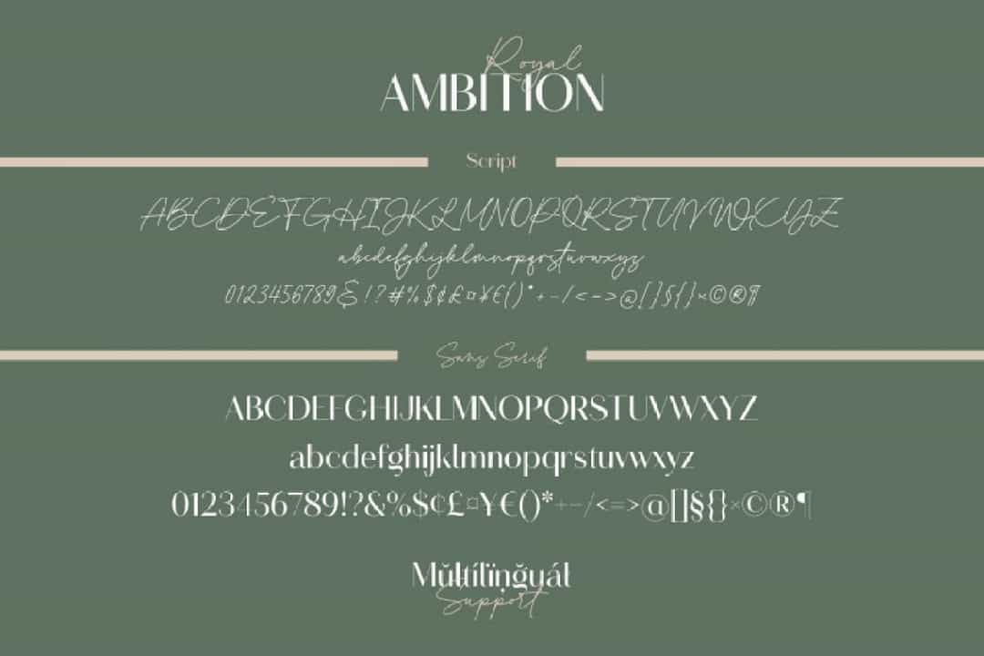 Royal Ambition Font Duo Image 3