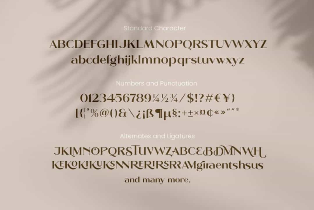 Moldern Font Image 3