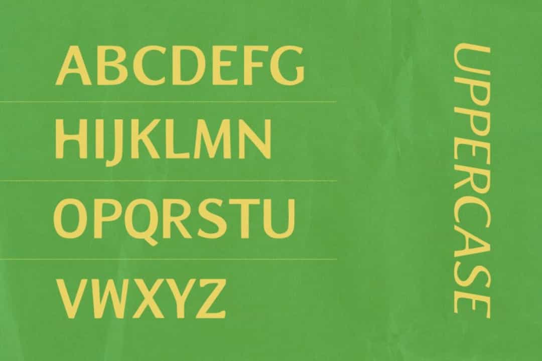 Zoya Font Image 2