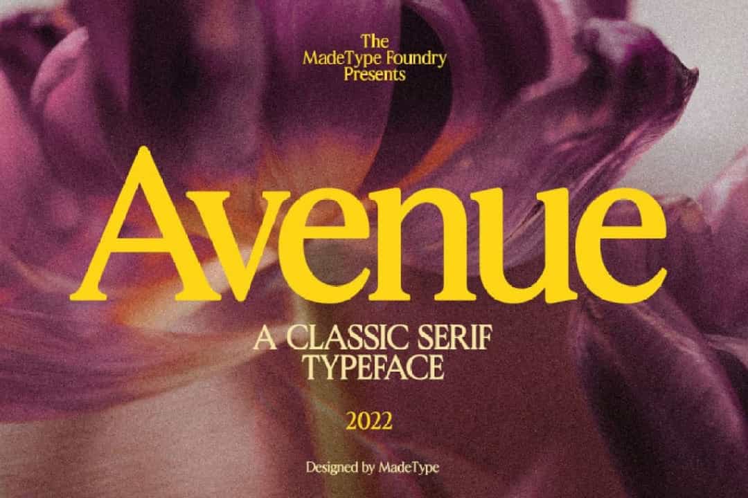 Avenue Font Image 1