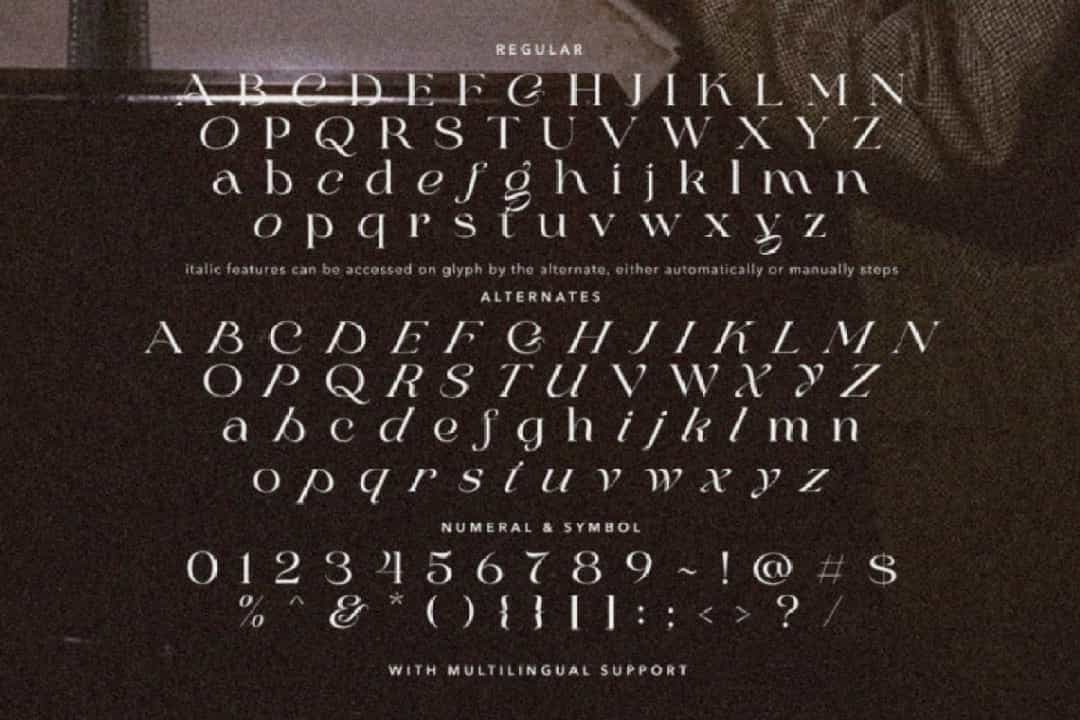 Stylish Delight Font Image 3