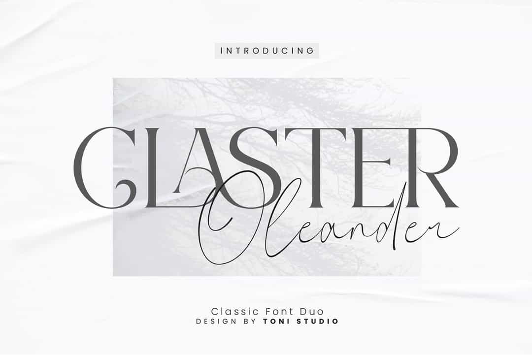 Claster Oleander Font Image 1