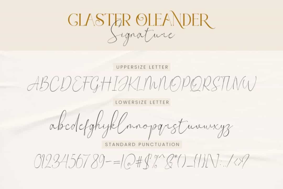 Claster Oleander Font Image 3