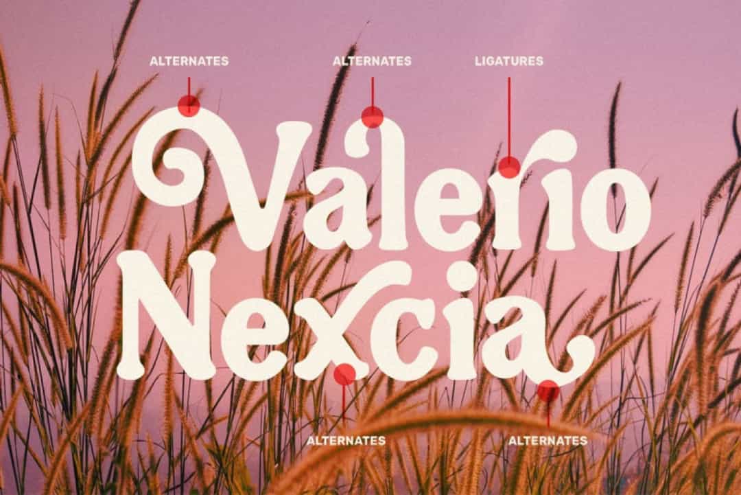 Nugia Vintage Font Image 2