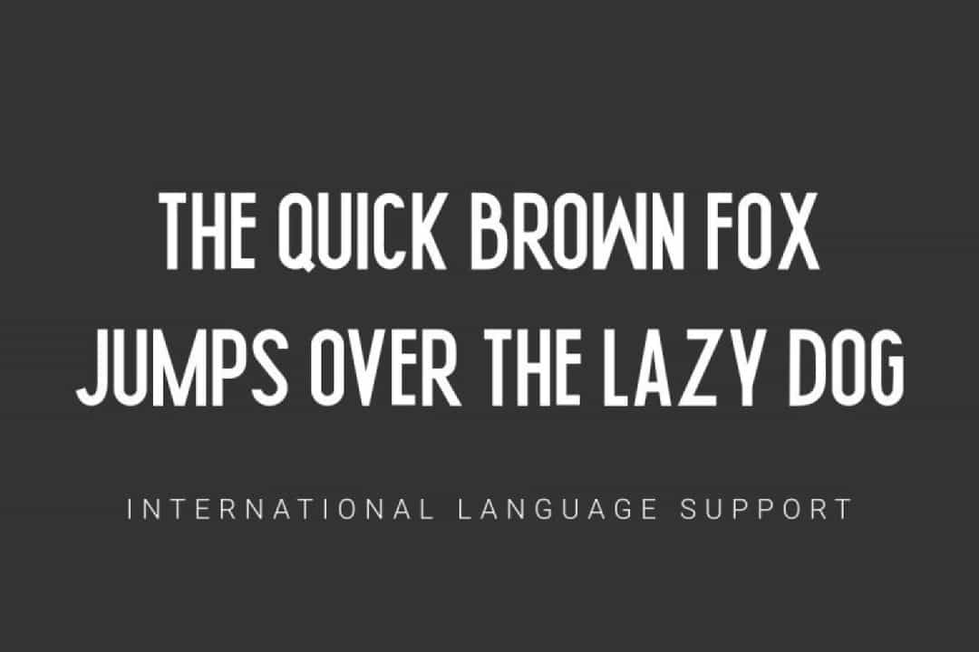 Nikeflix Font Image 3
