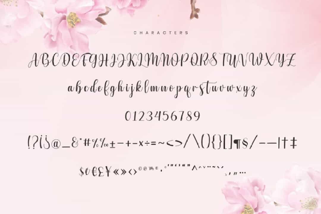 Julio Santa Font Image 3