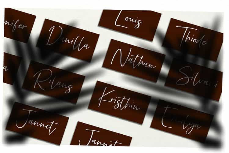 Precious Soul Script Font Image 2