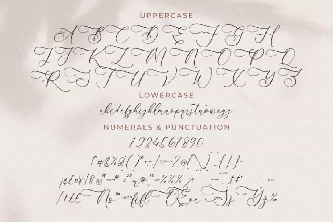Andora Modern Font Image 2