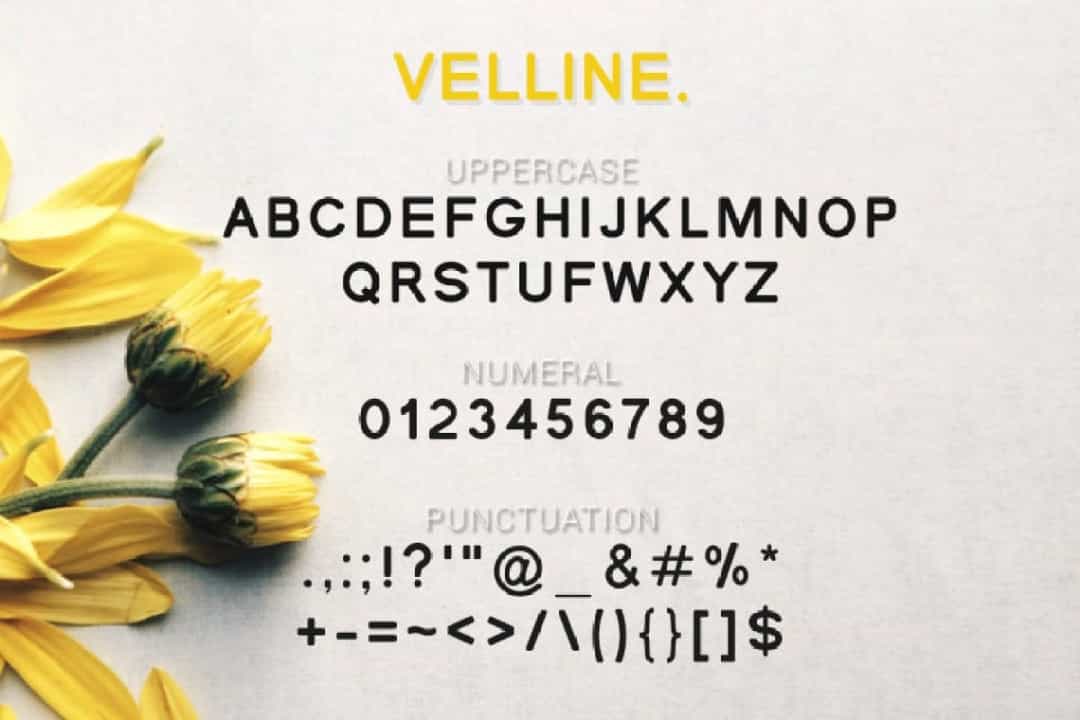 Velline Font Image 3