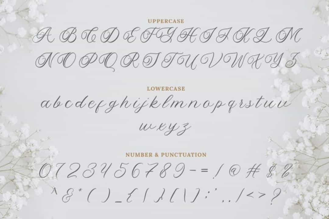 Yolitica Font Image 3