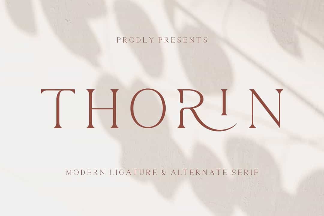 Thorin Font Image 1