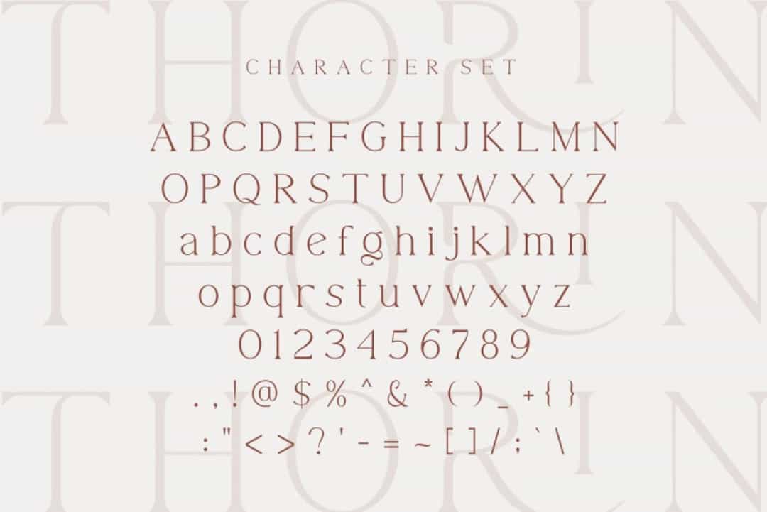 Thorin Font Image 2