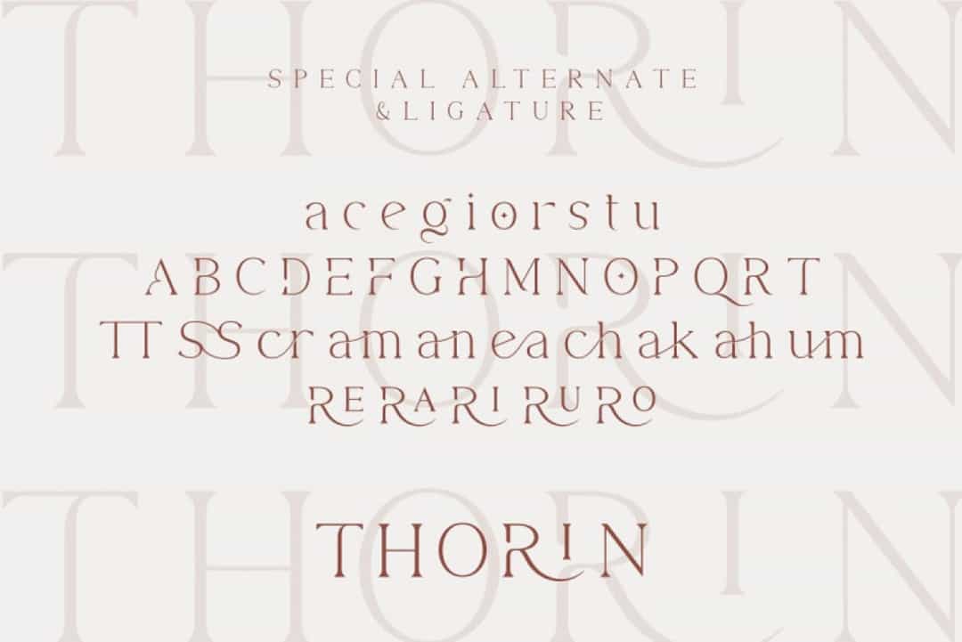 Thorin Font Image 3