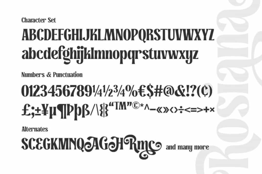 Rosiana Font Image 3