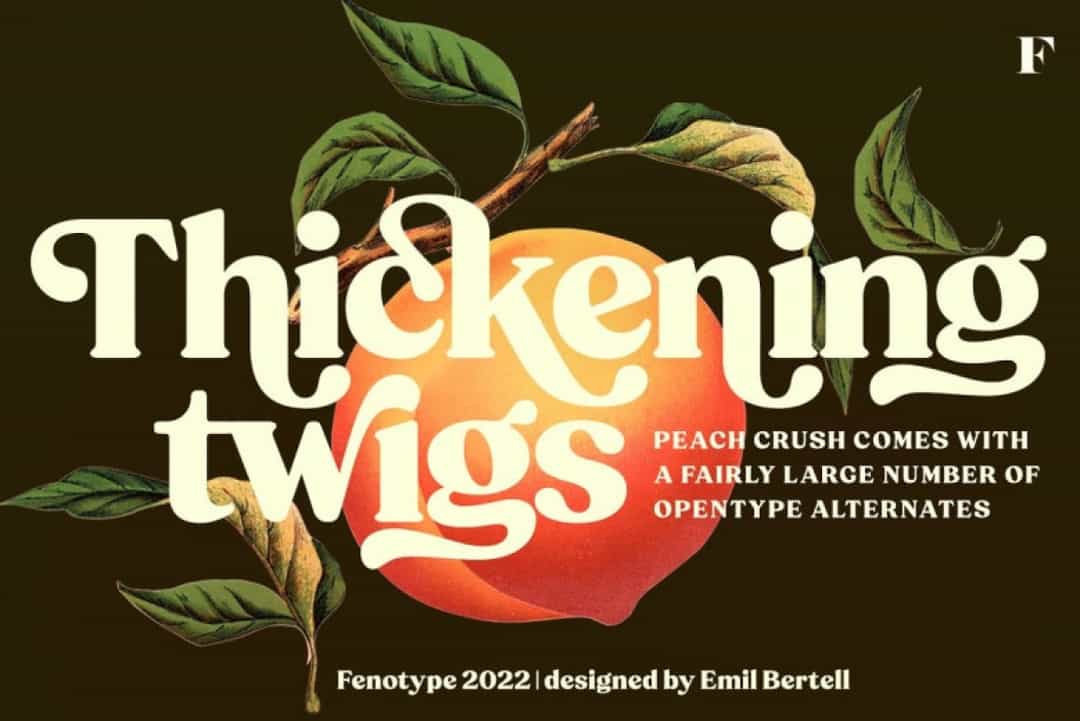 Peach Crush Font Image 2