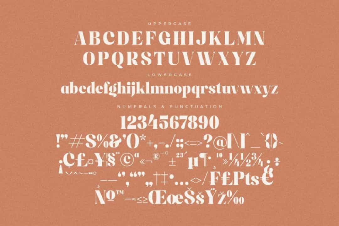 Ragitta Font Image 3