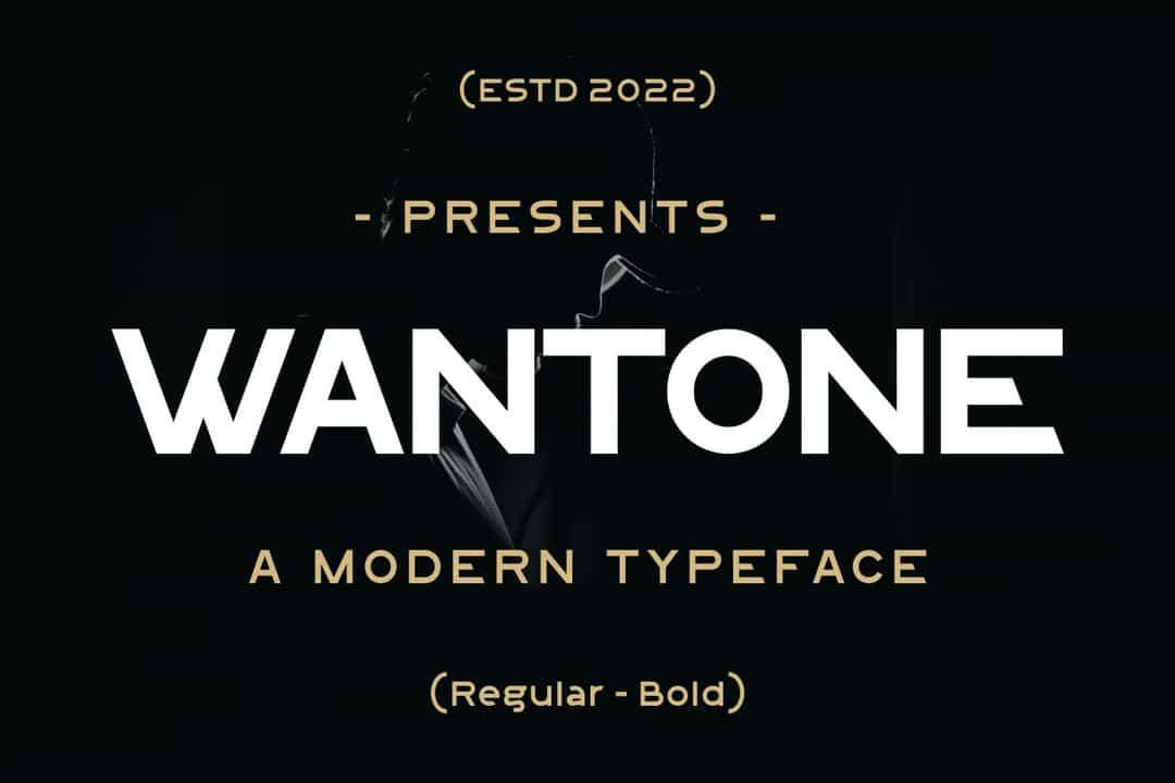 Wantone Font Image 1
