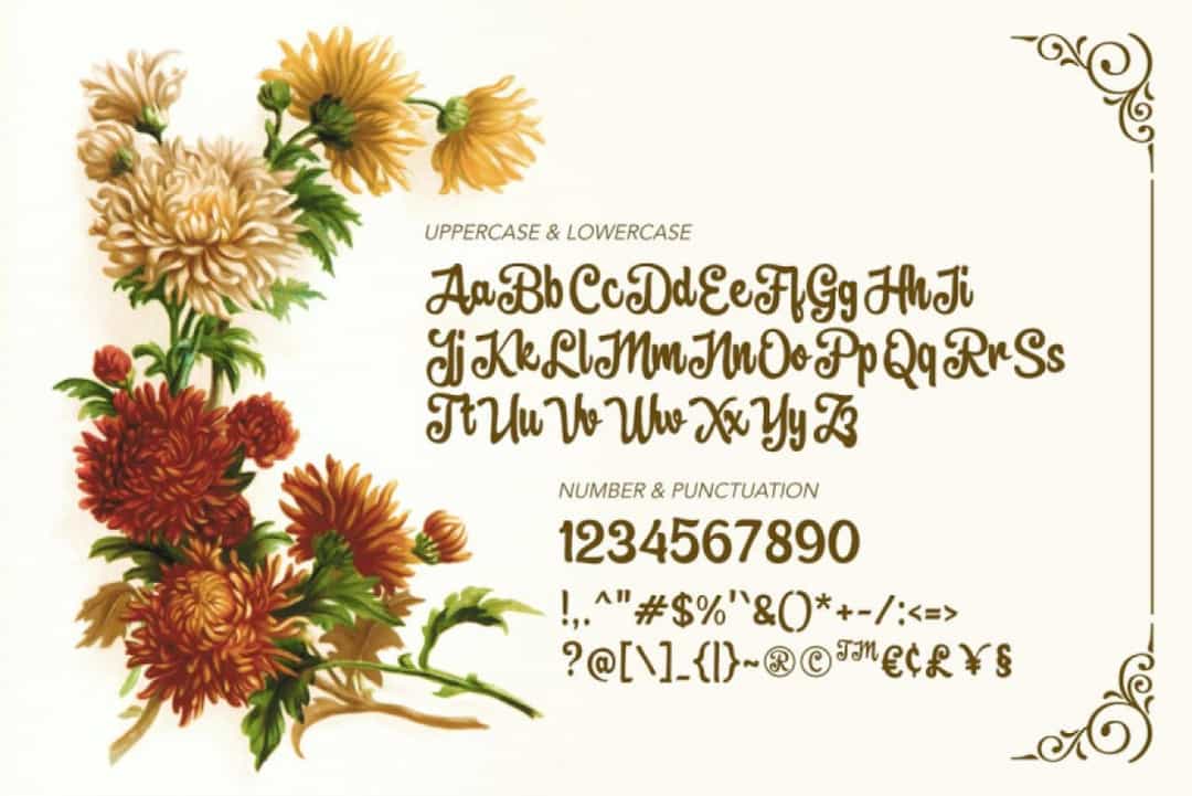 Brownie Fox Font Image 3
