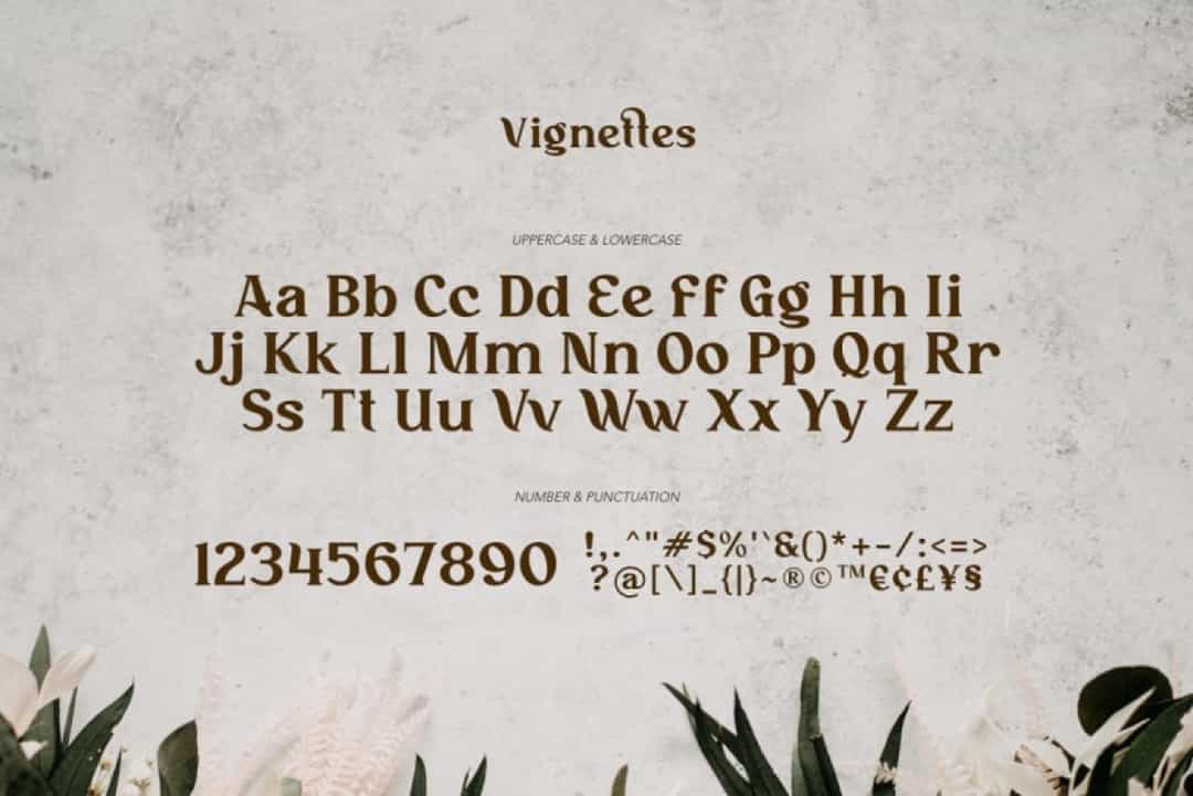 Vignettes Font Image 3