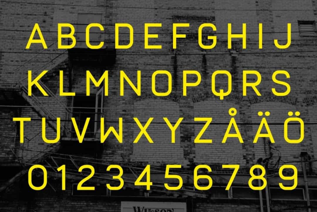 Frank Font Image 3