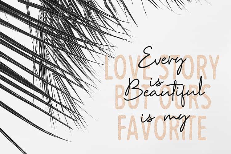Reinata Script Font Image 2