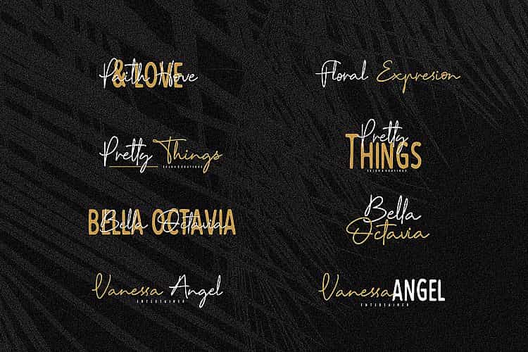 Reinata Script Font Image 3
